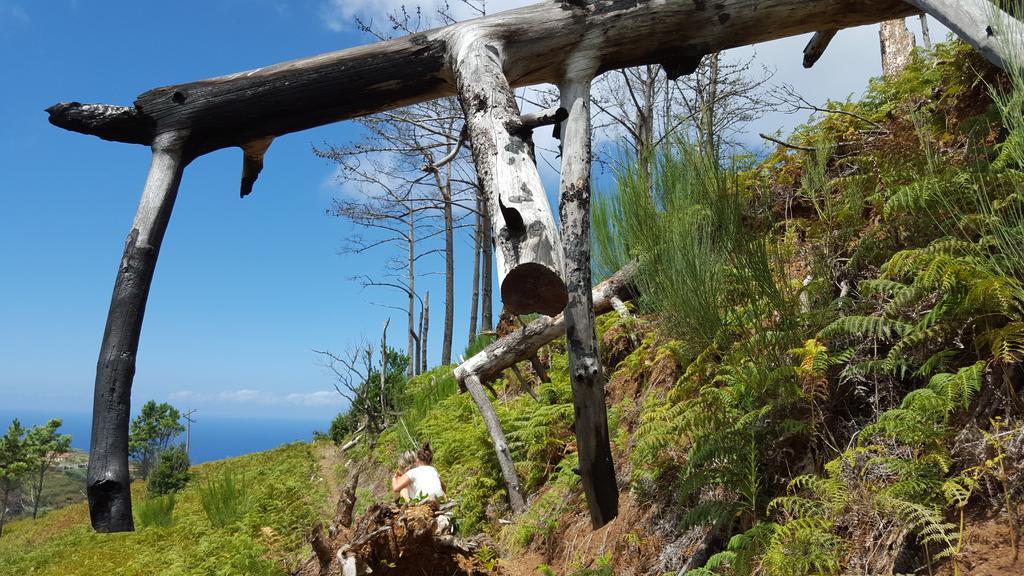 Casa Franco Villa Ponta do Pargo Dış mekan fotoğraf